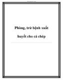 Phòng, trừ bệnh xuất huyết cho cá chép