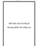 Mô hình nuôi Sò Huyết thương phẩm thu nhập cao