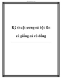 Kỹ thuật ương cá bột lên cá giống cá rô đồng