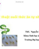 Kỹ thuật nuôi thức ăn tự nhiên - Chương 2 Tảo