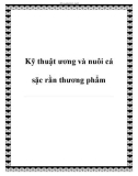 Kỹ thuật ương và nuôi cá sặc rằn thành thương phẩm