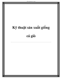 Kỹ thuật sản xuất giống cá giò