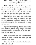 Nông Nghiệp - Trồng Cây Ăn Trái part 6