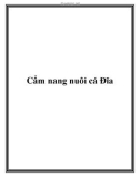 Cẩm nang nuôi cá Đĩa