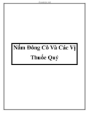 Nấm Đông Cô Và Các Vị Thuốc Quý