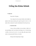 Giống lúa Kháu Khỉnh