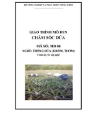 Giáo trình Chăm sóc dứa - MĐ04: Trồng dứa (khóm, thơm)