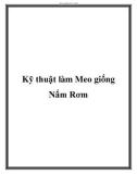 Kỹ thuật làm Meo giống Nấm Rơm