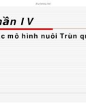 Kỹ thuật nuôi Trùn quế - Phần IV