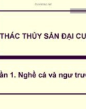 Bài giảng Khai thác thủy sản đại cương - Phần 1: Nghề cá và ngư trường