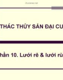 Bài giảng Khai thác thủy sản đại cương - Phần 10: Lưới rê và lưới rùng