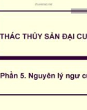 Bài giảng Khai thác thủy sản đại cương - Phần 5: Nguyên lý ngư cụ