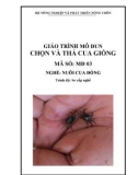 Giáo trình Chọn và thả cua giống - MĐ03: Nuôi cua đồng