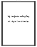 Kỹ thuật sản suất giống cá rô phi đơn tính đực