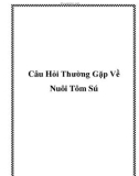 Câu Hỏi Thường Gặp Về Nuôi Tôm Sú