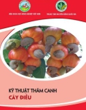 Kỹ thuật thâm canh cây điều - TS. Trần Danh Sửu