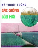 Hướng dẫn trồng các giống lúa mới: Phần 1