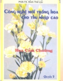 Công nghệ mới trồng hoa thu nhập cao: Hoa cẩm chướng