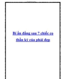 Bí ẩn đằng sau 7 chiếc cọ thần kỳ của phái đẹp