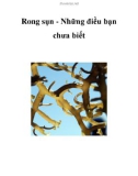 Rong sụn - Những điều bạn chưa biết