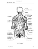 Giáo trình Vẽ Mỹ Thuật - Vẽ Bút sắt 4