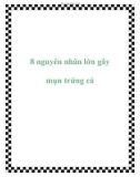 8 nguyên nhân lớn gây mụn trứng cá