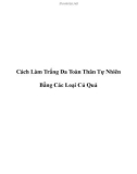 Cách Làm Trắng Da Toàn Thân Tự Nhiên Bằng Các Loại Củ Quả