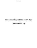 Cách Làm Trắng Và Chăm Sóc Da Hiệu Quả Với Khoai Tây