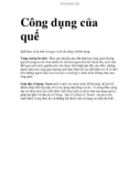 Công dụng của quế