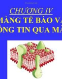 Mang tế bào và thông tin qua màng