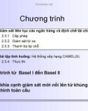 Bài giảng : Giám sát liên tục các ngân hàng và định chế tài chính