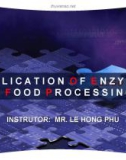 Appication Of Enzyme In Food Processing