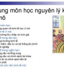 Chương 1 Tổng quan về kinh tế học vĩ mô