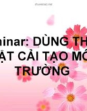 DÙNG THỰC VẬT CẢI TẠO MÔI TRƯỜNG