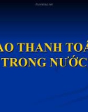 BAO THANH TOÁN TRONG NƯỚC