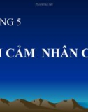 Bài giảng Tâm lý học: Chương 5. Tình cảm nhân cách - TS. Trần Thanh Toàn