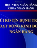 Bài giảng Rủi ro trong hoạt động của ngân hàng: Rủi ro tín dụng trong hoạt động kinh doanh ngân hàng