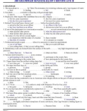 300 Grammer sentences of certificate B (Có đáp án)