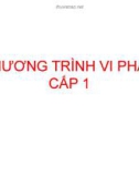 Bài giảng Giải tích 1: Phương trình vi phân cấp 1