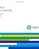 Lecture Corporate finance: A practical approach: Chapter 3 - CFA Institute