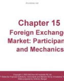 Lecture Financial institutions, instruments and markets (4/e): Chapter 15 - Christopher Viney