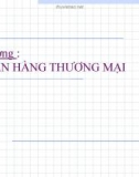 Bài giảng Tài chính tiền tệ: Ngân hàng thương mại