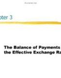 Lecture International finance: An analytical approach (2/e) – Chapter 3: The balance of payments and the effective exchange rate