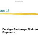 Lecture International finance: An analytical approach (2/e) – Chapter 13: Foreign exchange risk and exposure