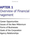 Lecture Fundamentals of financial management - Chapter 1: An overview of financial management