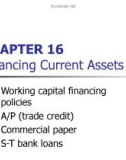 Lecture Fundamentals of financial management - Chapter 16: Financing current assets