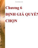 Bài giảng Chương 6: Định giá quyền chọn