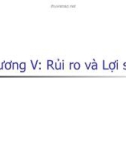 Chương V: Rủi ro và Lợi suất