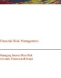 Lecture Financial risks management - Topic 12: Measuring and managing interest rate risk with financial forwards, futures and swaps