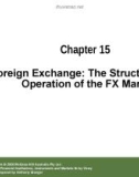 Lecture Financial institutions, instruments and markets (6/e): Chapter 15 - Christopher Viney